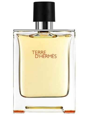 قیمت خرید فروش عطر ادکلن هرمس تق هرمس پرفیوم (تغ دی هغمس پارفوم) مردانه Hermes Terre D'Hermes Parfum