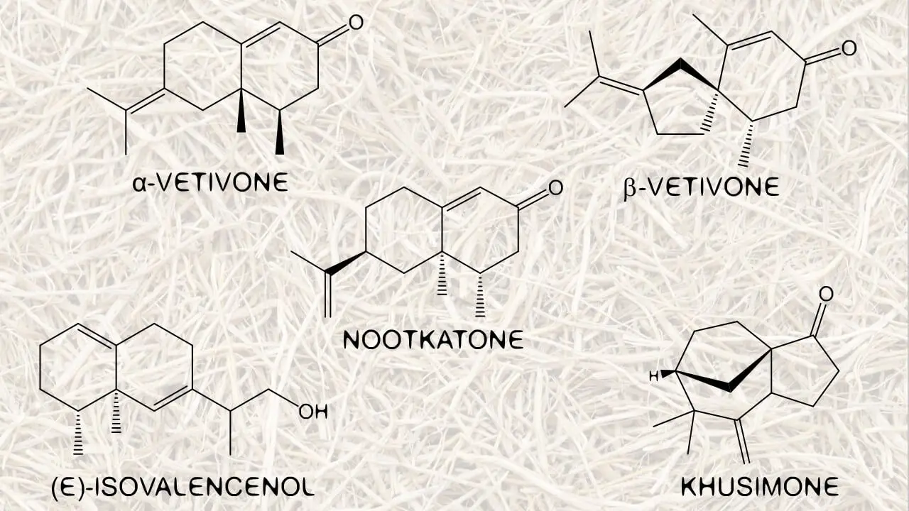 انواع مختلف وتیور (خس خس) در صنعت عطر سازی