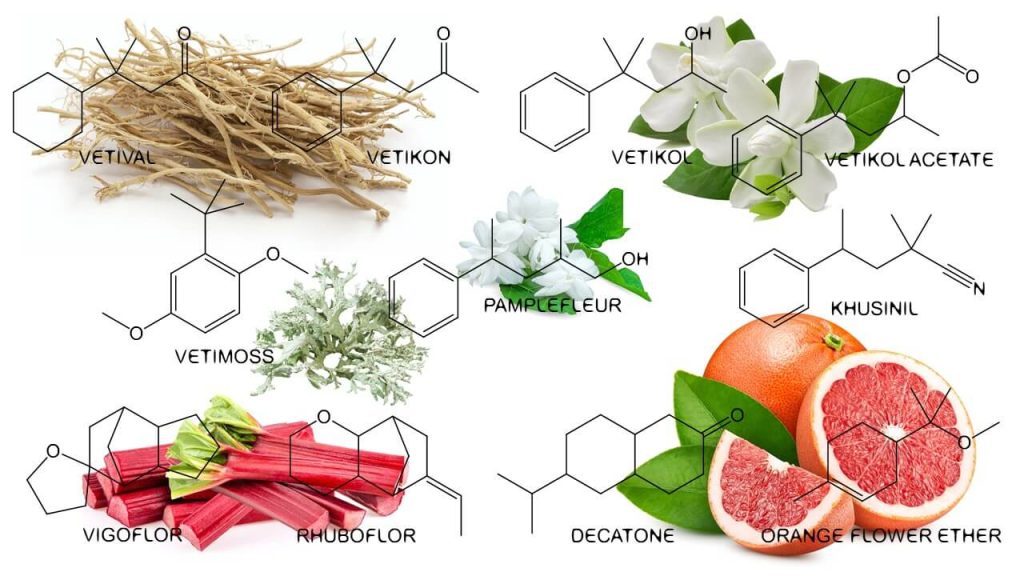 انواع مختلف وتیور (خس خس) در صنعت عطر سازی