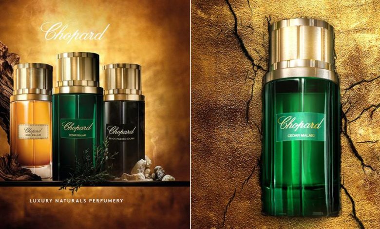 عطر شوپارد سدر ملکی، سرو با شکوه پادشاه جنگل