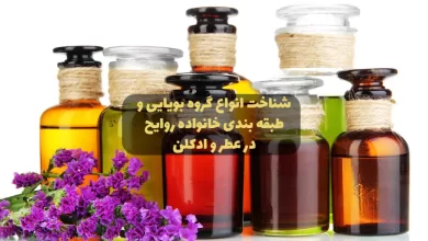 هر آنچه باید از گروه های بویایی (چرخه بویایی) و طبقه بندی روایح عطر و ادکلن ها بدانید
