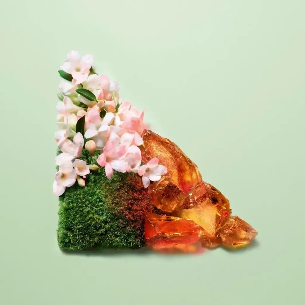 نتها و رایحه عطر پرادا پارادوکس اینتنس 2023 Prada Paradoxe Intense