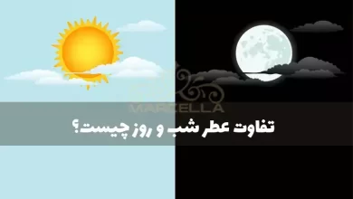 تفاوت عطر شب و روز چیست
