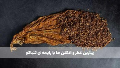 معرفی عطر با رایحه توتون و تنباکو