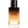 Giorgio Armani I Will EDP قیمت و خرید Giorgio Armani I Will EDP