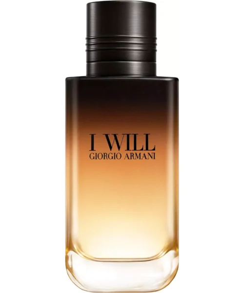 قیمت و خرید Giorgio Armani I Will EDP