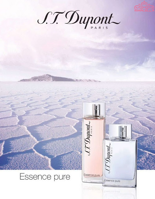 STDupontEssencePure خرید عطر (ادکلن) اس تی دوپونت اسنس پیور زنانه S.T Dupont Essence Pure اصل